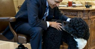 president-barack-obama-et-bo-le-chien-de-la-maison-blanche