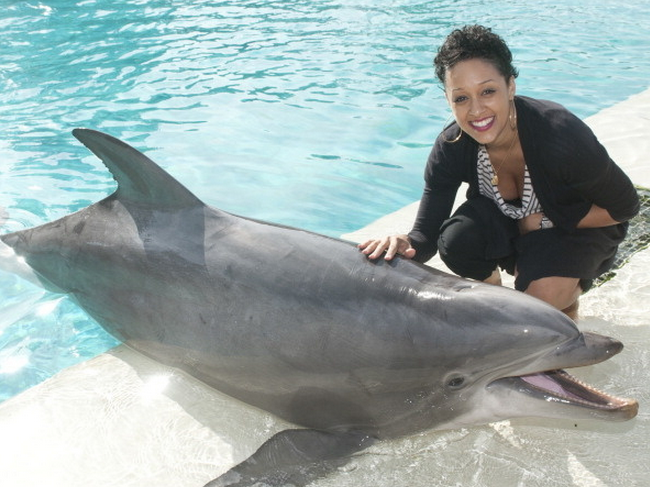 Tia Mowry adore les dauphins!