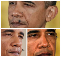 Barack Obama a un sacré sang froid!
