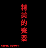 Chris Brown dévoile son nouveau clip vidéo