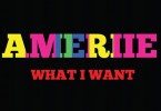 Ameriie-What-I-Want