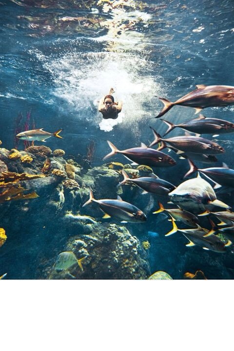 Rihanna pose pour Bazaar Magazine