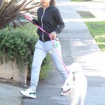 Karrueche Tran prend ses distances de Chris Brow