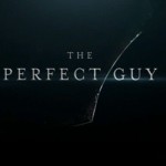 Sanaa Lathan, Morris Chestnut et Michael Ealy à la une du film The Perfect Guy