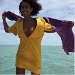 Solange Knowles et Alan Ferguson savourent leur lune de miel au Brésil